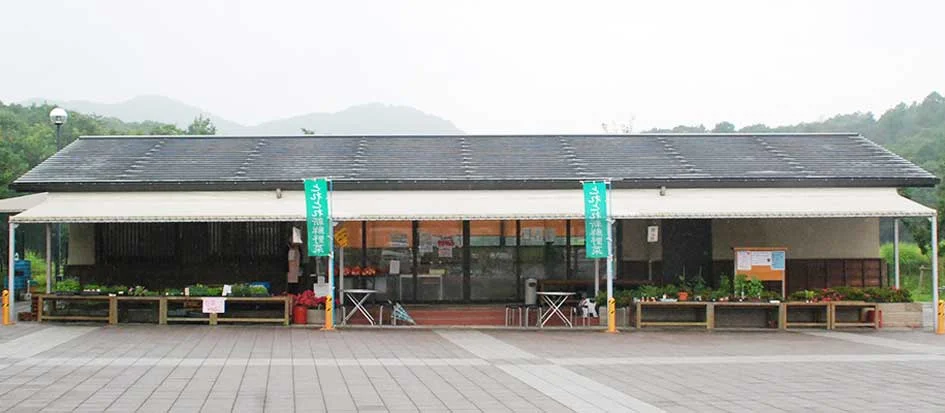 トップメイン画像3