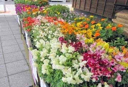 フォトアルバム6