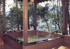 Kinosaki Onsen Fujimiya Chintakurin - Hyogo