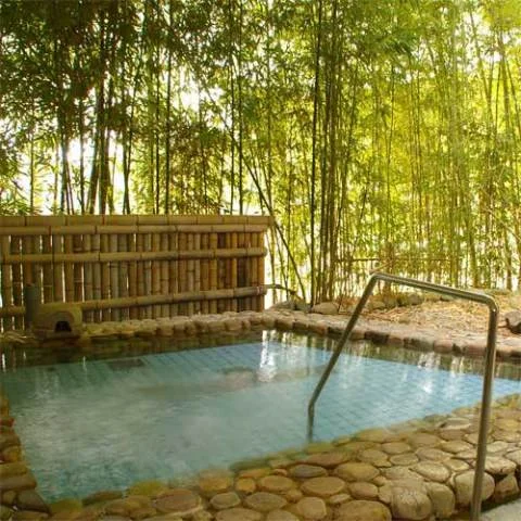 Himeji City Recuperation Center Koderaso Take no Yu Koji Temple Lodge - Hyogo