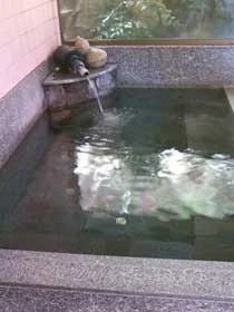 渓山荘(閉館しました)