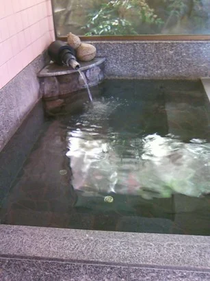 渓山荘(閉館しました)