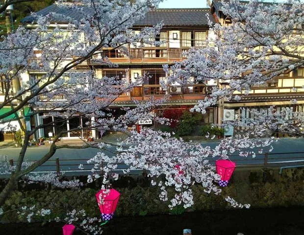 みぐみや旅館