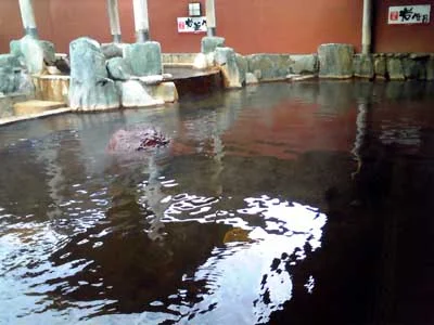 源泉湯元 あぐろの湯