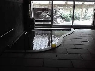 鳴子やすらぎ荘