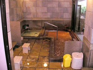 竹取亭別亭 康貴(こうき)