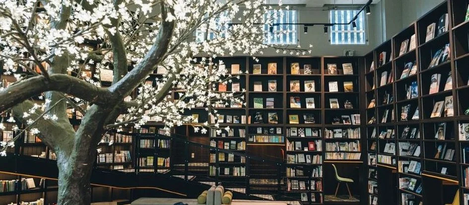 トップメイン画像3