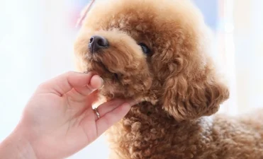 リラクゼーション・岩盤浴2