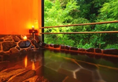 Nuno's Village Shibayama-so Annex Sansuien - Hyogo