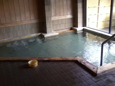 湯の原温泉 湯の原館