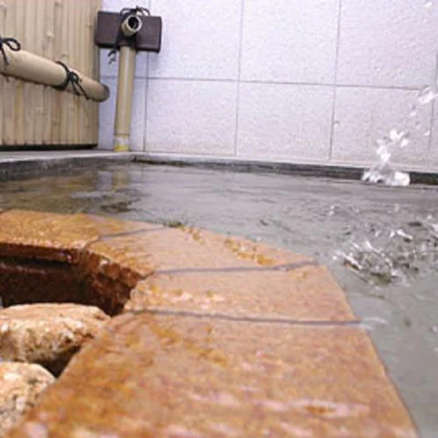 Kani no Yado Yamaya - Hyogo