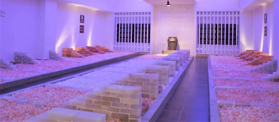 トップメイン画像5