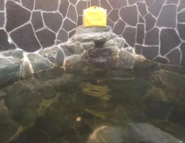 天然温泉かけながし  野里の湯(旧 野里温泉)