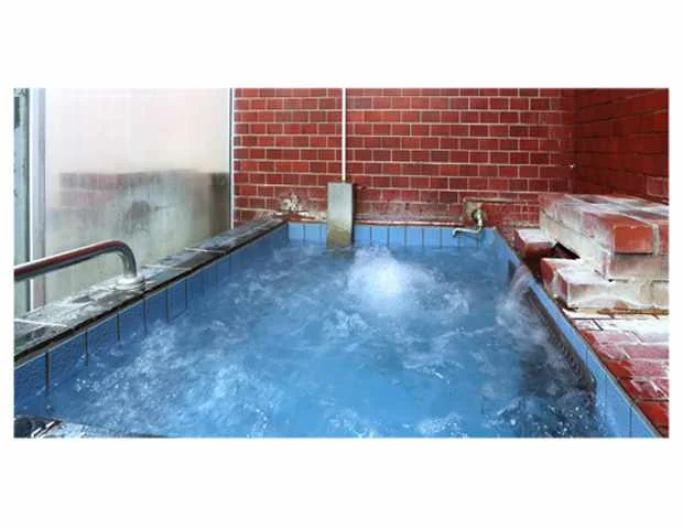 ラドン温泉旅館 天龍閣（閉館しました）