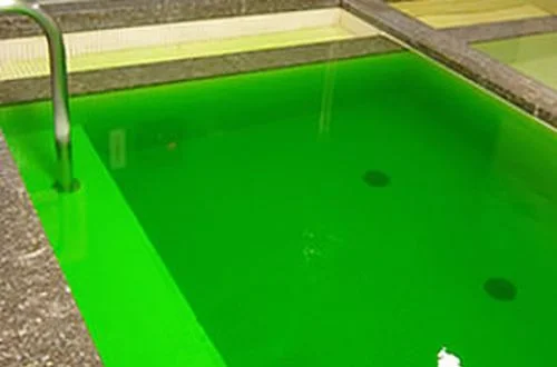 フォトアルバム7