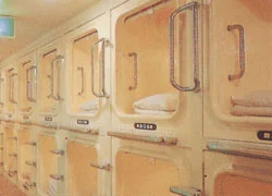 トップメイン画像7