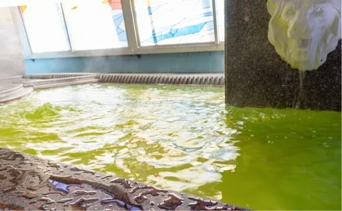 フォトアルバム12