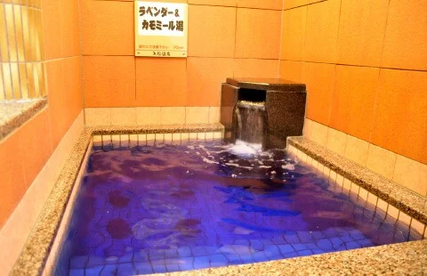 入船温泉(平野市町)(閉館しました)