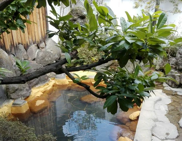 義経ゆかりの湯 姥乃湯(閉館しました)