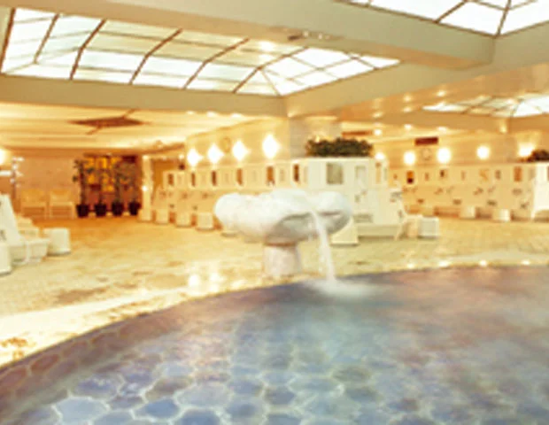 ニュージャパン　スパプラザ（閉館しました）