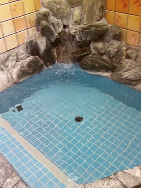 日の出湯（生野東）
