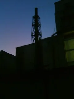 桃之湯