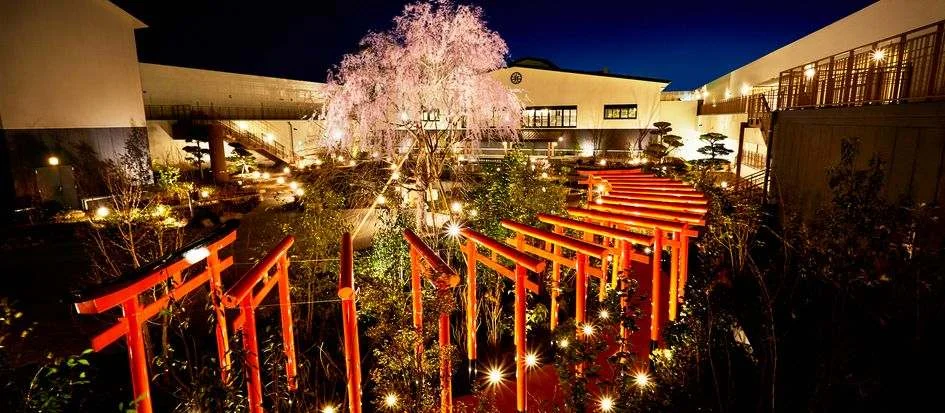 トップメイン画像5