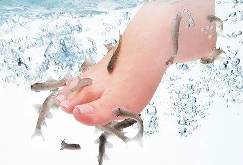 フォトアルバム29