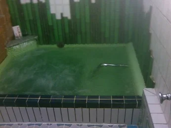 紅梅湯(閉館しました)