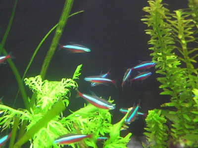 ユーバスROYAL高井田店