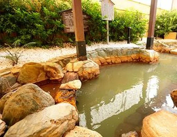 ケイエスビー弥生の里温泉(閉館しました)