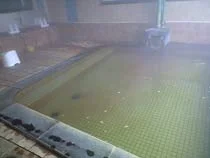 鳴子パールホテル いで湯亭