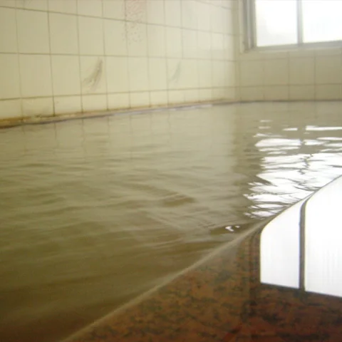 Gokirakutei Toya, Natural Hot Spring Inn - Hokkaido