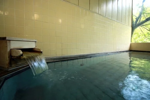 滝ノ原温泉　四季の味宿　割烹ちどり荘 - 宮城県