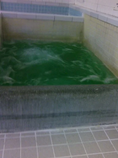 一条温泉(閉館しました)