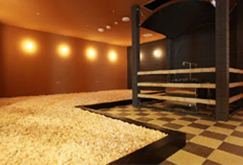 フォトアルバム15