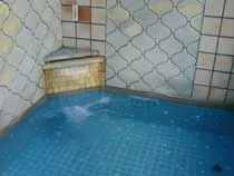 パレス温泉（閉館しました）