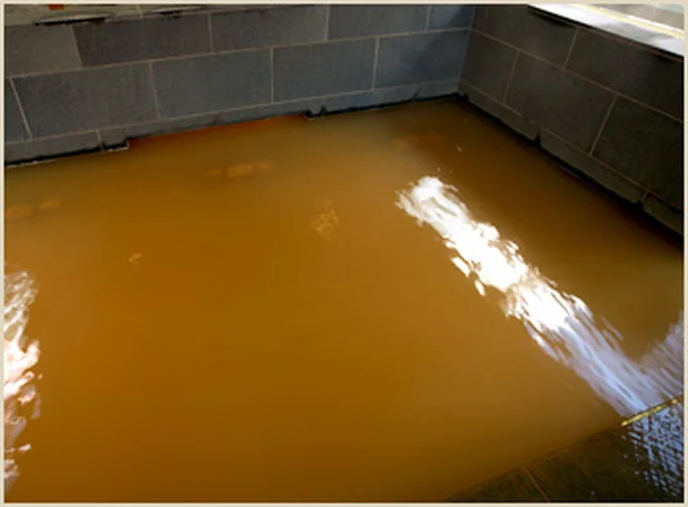 松原天然温泉You・ゆ～（閉館しました）