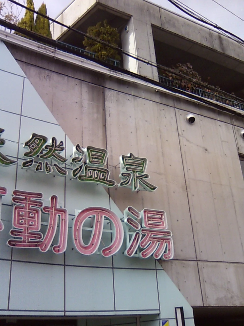 天然温泉 不動の湯