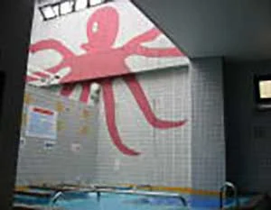 露天風呂 たこ湯