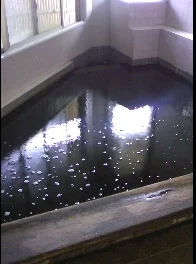 東鳴子温泉 馬場温泉（ばばおんせん）