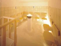 ニュージャパン・レディスサウナ（閉館しました）