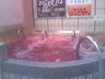 ニューナショナル温泉