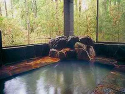 遠刈田温泉 ペンション どんぐり - 宮城県