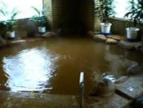 汐の湯温泉（閉館しました）