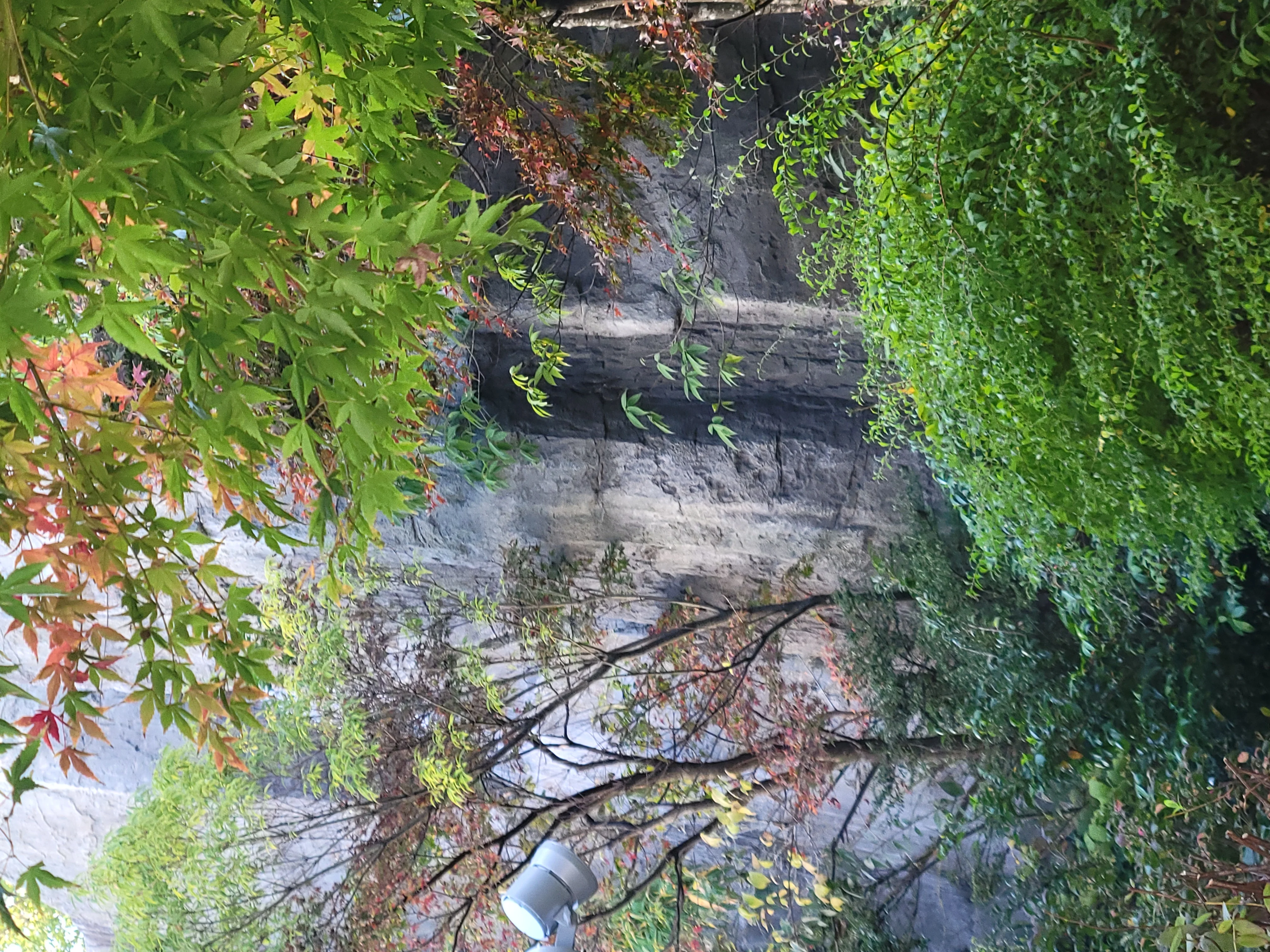 狭山郷温泉 虹の湯 大阪狭山店