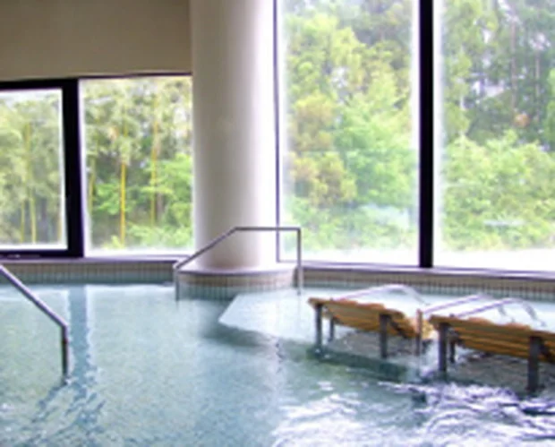 天然温泉 スパ泉ヶ岳（スパいずみがたけ）（閉館しました）