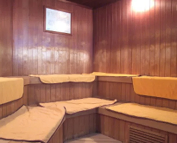 天然温泉 スパ泉ヶ岳（スパいずみがたけ）（閉館しました）