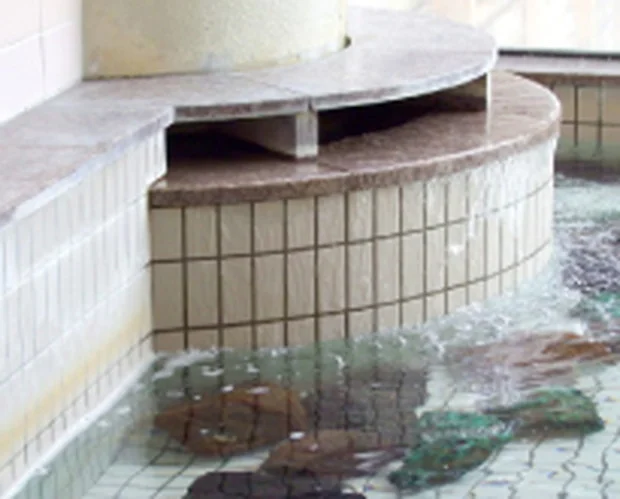 天然温泉 スパ泉ヶ岳（スパいずみがたけ）（閉館しました）