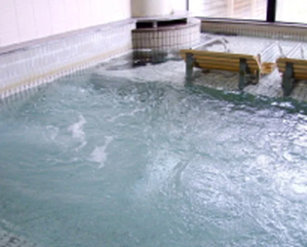 天然温泉 スパ泉ヶ岳（スパいずみがたけ）（閉館しました）